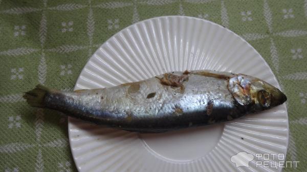 Салака сухого посола фото