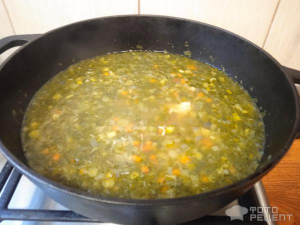 Суп куриный с овощами и зеленью фото