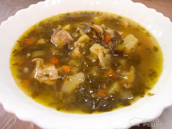 Суп куриный с овощами и зеленью фото