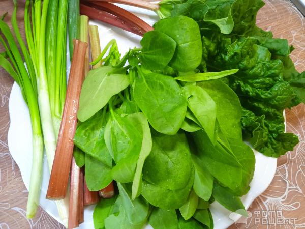 Суп куриный с овощами и зеленью фото