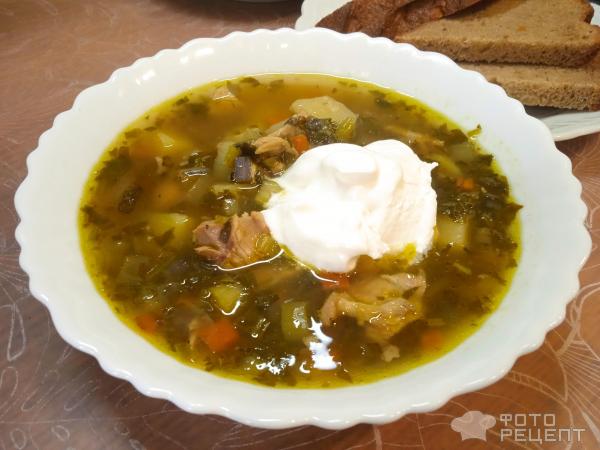 Суп куриный с овощами и зеленью фото