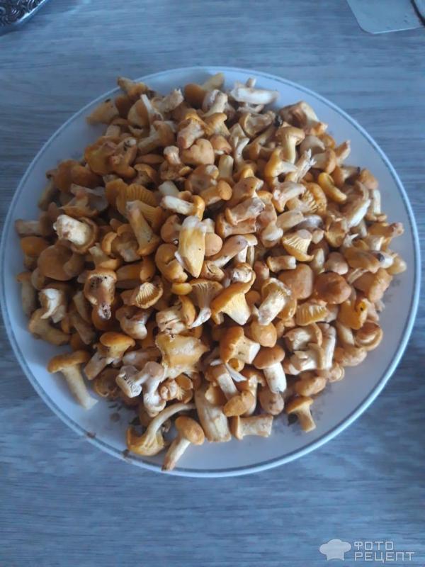 суп из лисичек