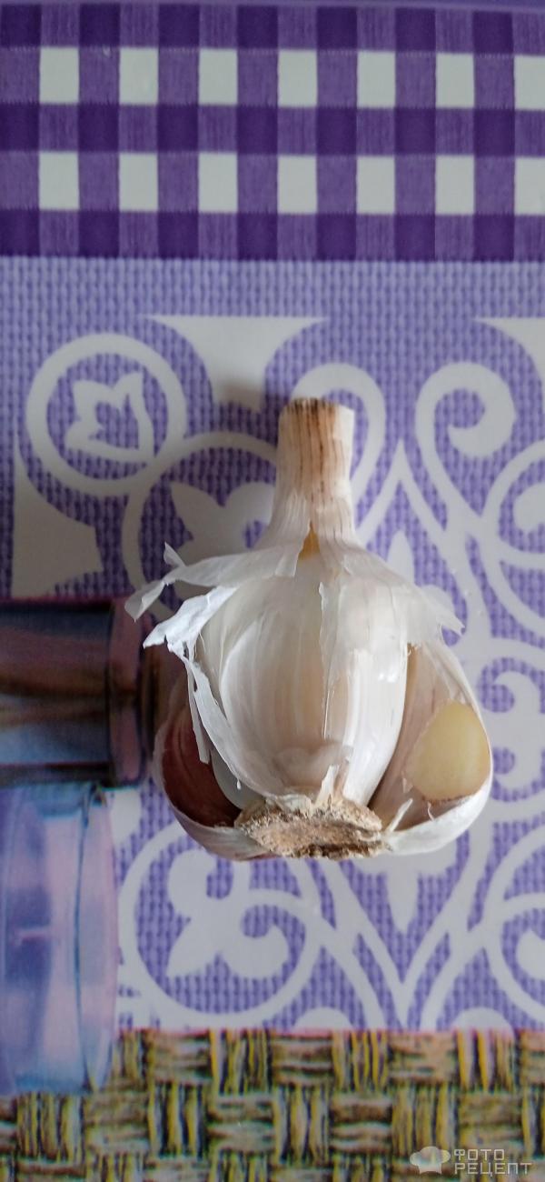 Консервированные помидоры в снегу фото