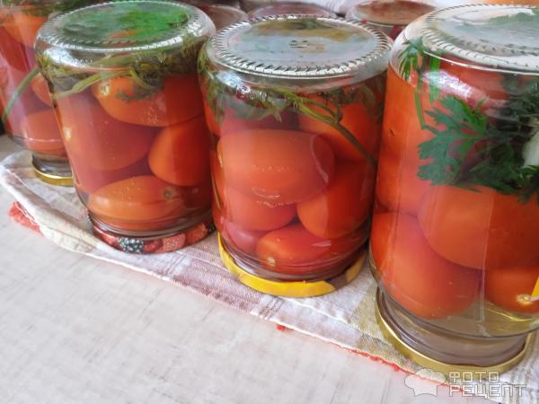 Маринованные помидоры с морковной ботвой фото