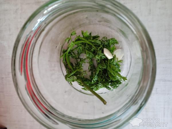 Маринованные помидоры с морковной ботвой фото