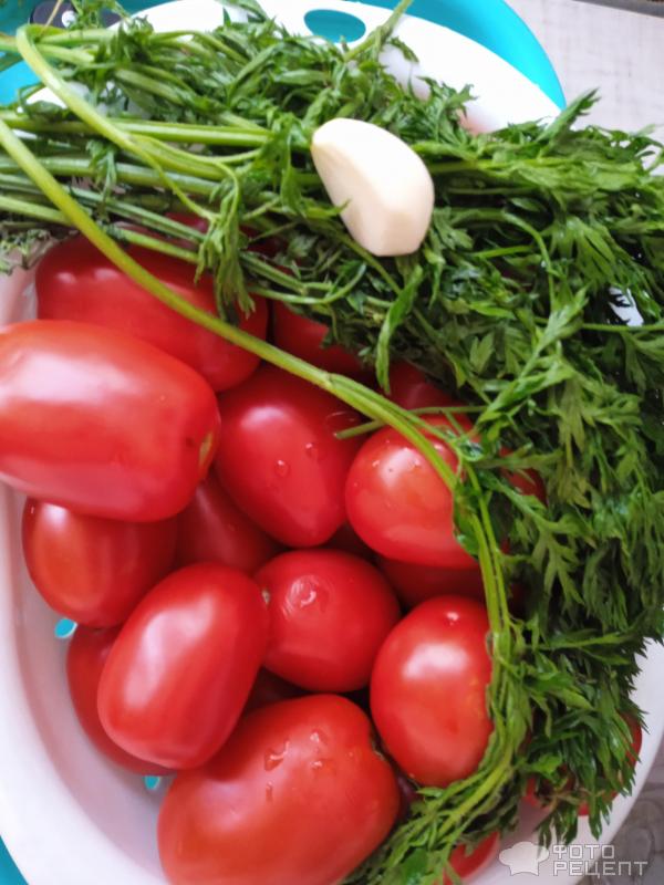Маринованные помидоры с морковной ботвой фото