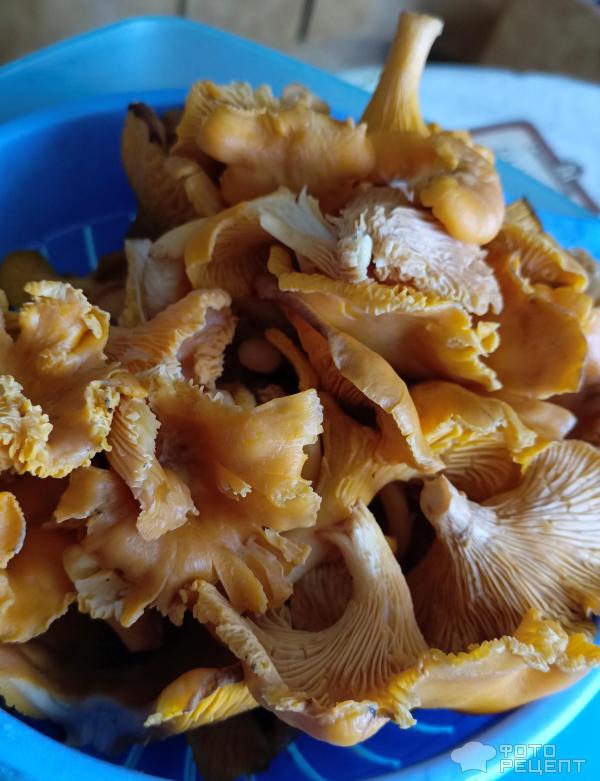 Грибной суп с лисичками