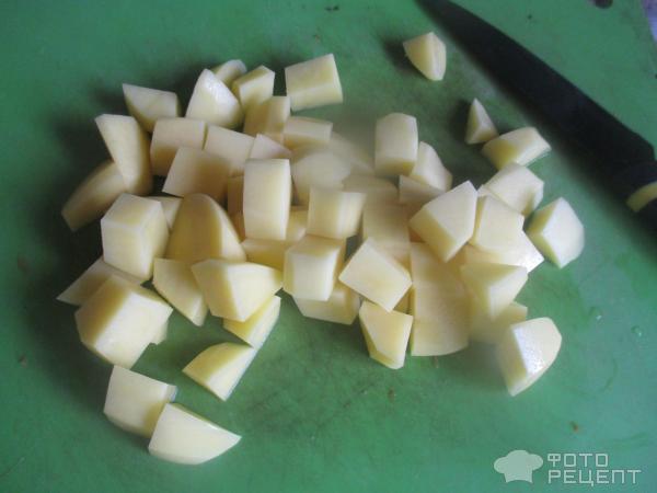 Суп с соевыми бобами и зеленой фасолью фото