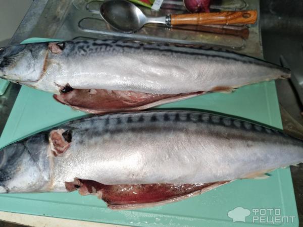 Скумбрия на мангале