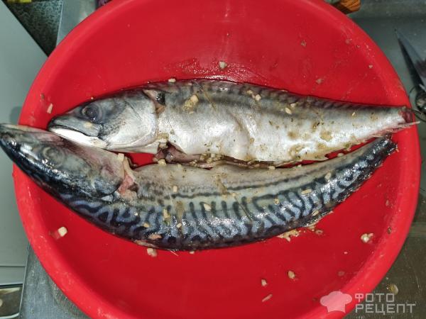 Скумбрия на мангале