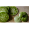 Фото Закуска из зеленых помидоров