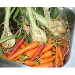 Рецепт: Подлива морковно-луковая