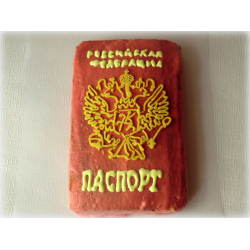 Торт в виде паспорта (73 фото)