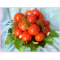 Фото Малосольные помидоры от бабушки