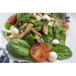 Рецепт: Салат с моцареллой, грибами и шпинатом