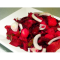 Фото Свекольный салат с фасолью и маринованными огурчиками