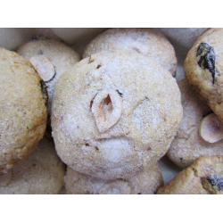 Рецепт: Печенье с хлопьями, лесным орехом и черносливом
