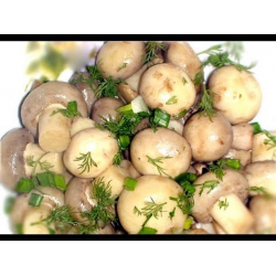 Рецепт: Маринованные грибы по-домашнему