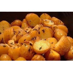 Рецепт: Картофель, запеченный с пряностями