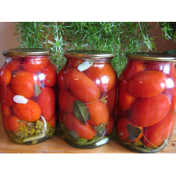 Маринованные помидоры на зиму: классический рецепт