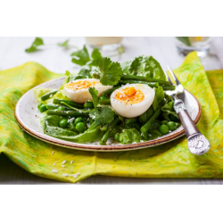 Рецепт: Зеленый салат с яйцом