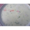 Фото Сырный суп по-французски с плавленым сыром
