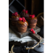 Фото Шоколадный десерт с двумя начинками