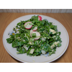 Рецепт: Салат "Первая зелень"