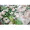 Фото Куриное филе с брокколи и стручковой фасолью