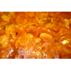 Рецепт: Бобы в томатном соусе