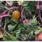 Фото Сливочный салат с чесноком и пармезаном