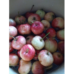 Рецепт: Варенье из райских яблок