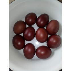 Рецепт: Крашеные яйца в луковой шелухе к Пасхе